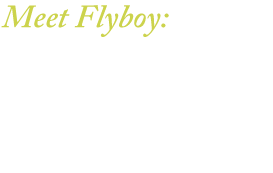 Meet Flyboy:
world renown flying ace and trailblazing biologist. With the aid of his trusted aircraft, Cloud Jumper, he scours the globe in search of adventure and fantastic new scientific discoveries!